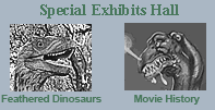 Traveling Exhibits